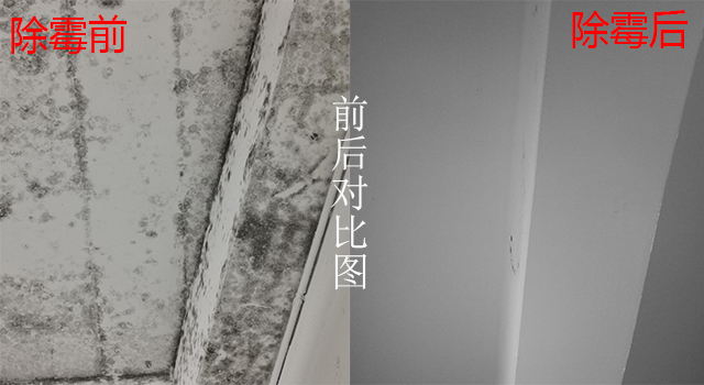 細節除霉對比圖