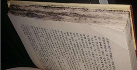 圖書